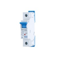 Istič PR61 10A C 1P